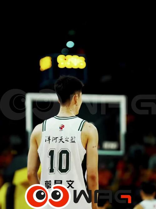 cba回放在哪能看