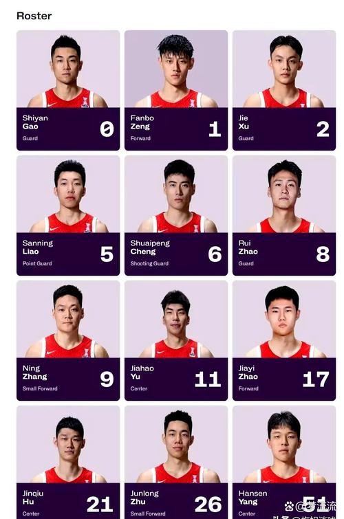 中国男子冰球队成员名单表