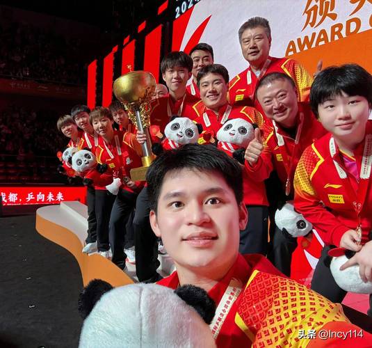 世界杯乒乓球赛每多少年举办一届