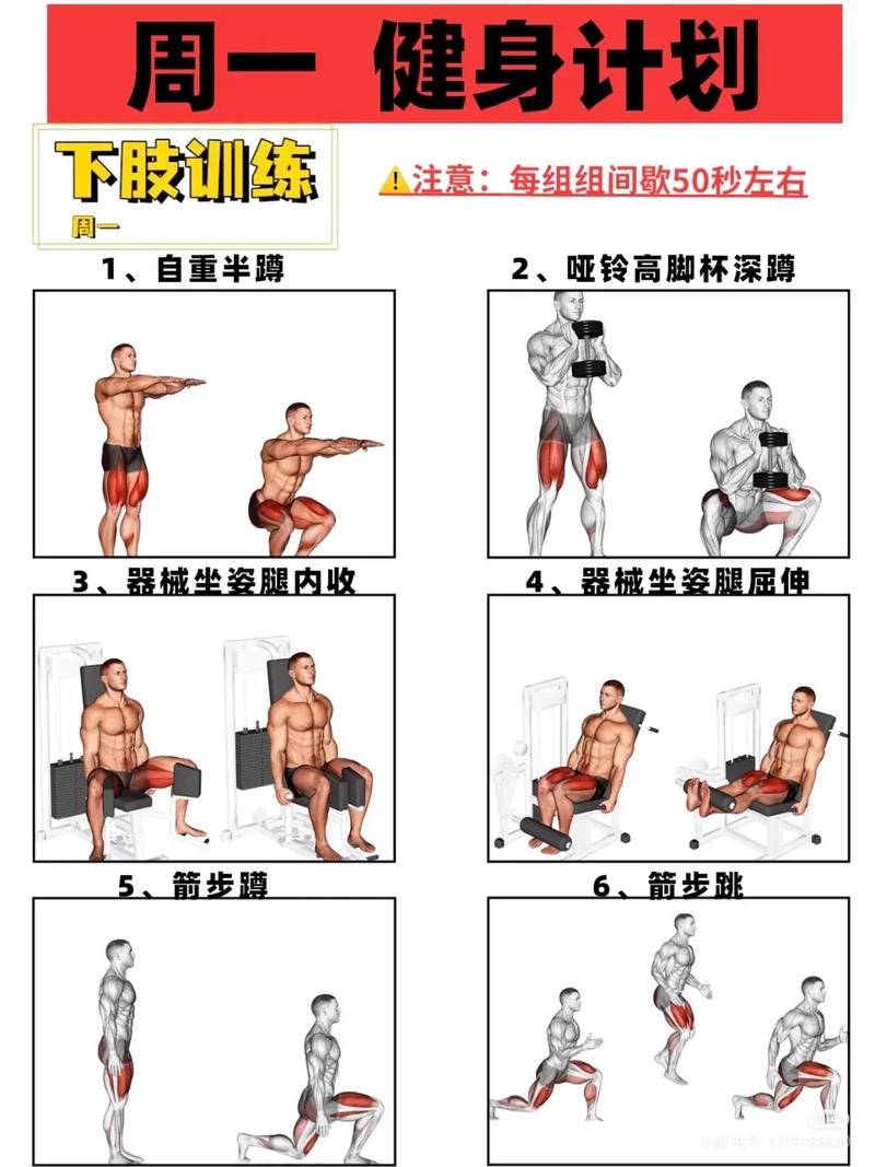 橄榄球运动员肌肉训练方法