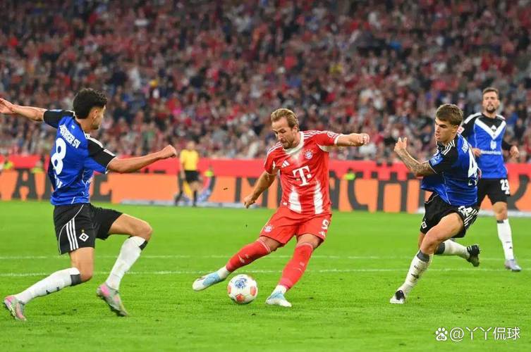 拜仁慕尼黑vs菲尔特比分