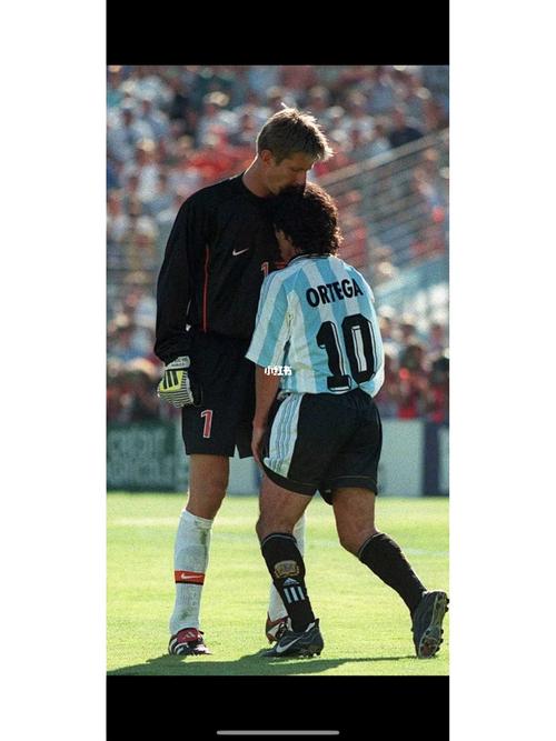 98世界杯荷兰vs阿根廷中文