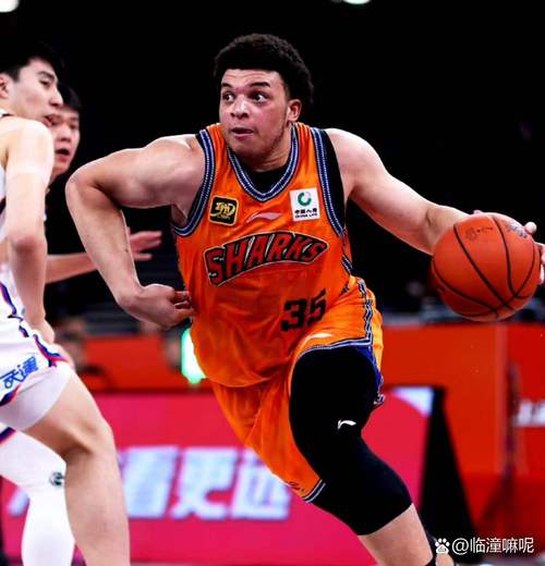 cba几个外援一个队伍