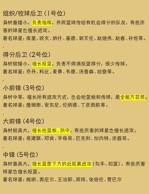 打篮球的几种位置