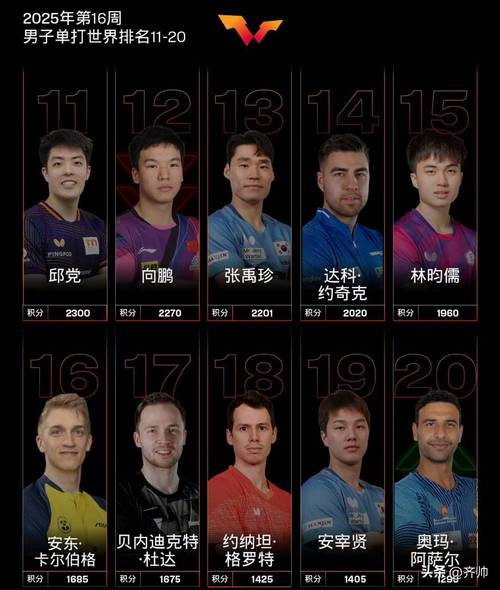 东京奥运会男乒单打获奖名单