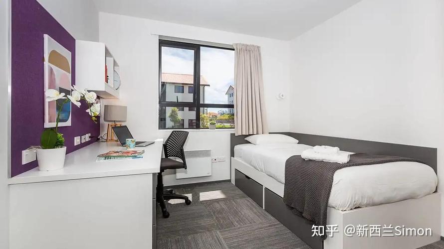 梅西大学有什么专业可选