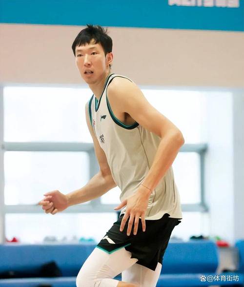 辽宁男篮球队老板