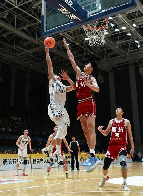 篮球都有什么联赛