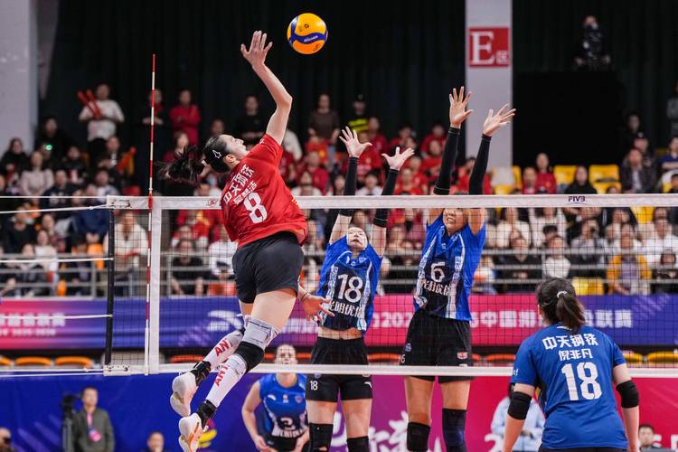 2019年女排世界杯第一名