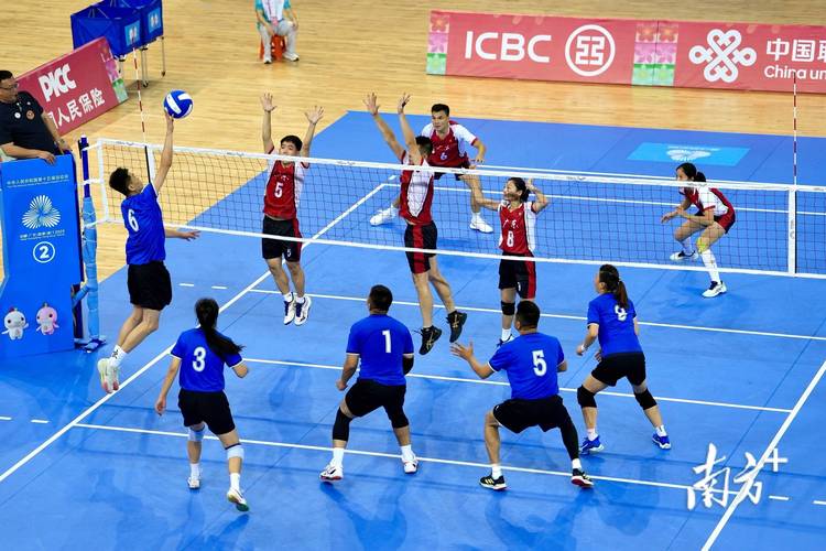 体育比赛一般有哪些种类