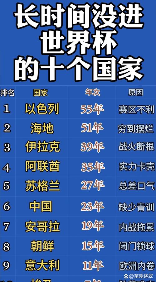 2002中国参加世界杯名单