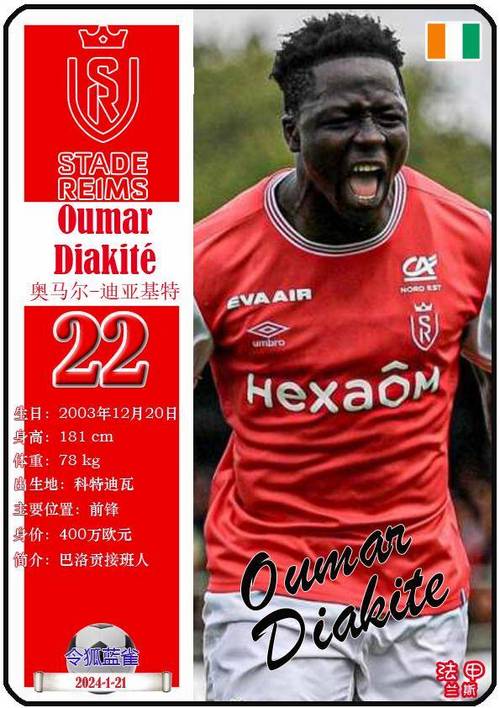 科特迪瓦14年世界杯