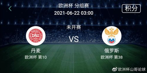 丹麦队vs俄罗斯队集锦