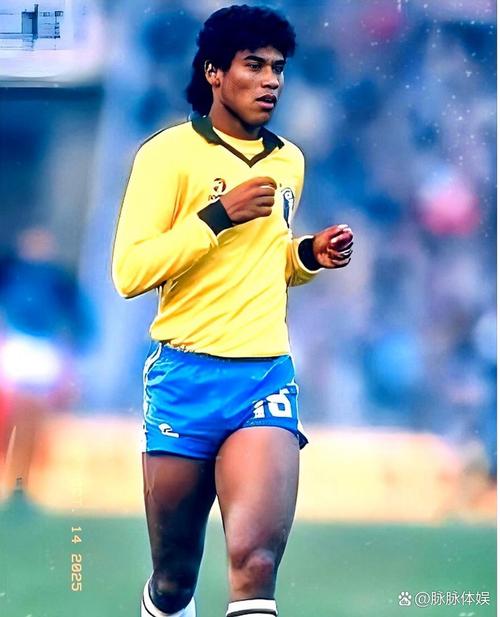 巴西为什么没有参加世界杯