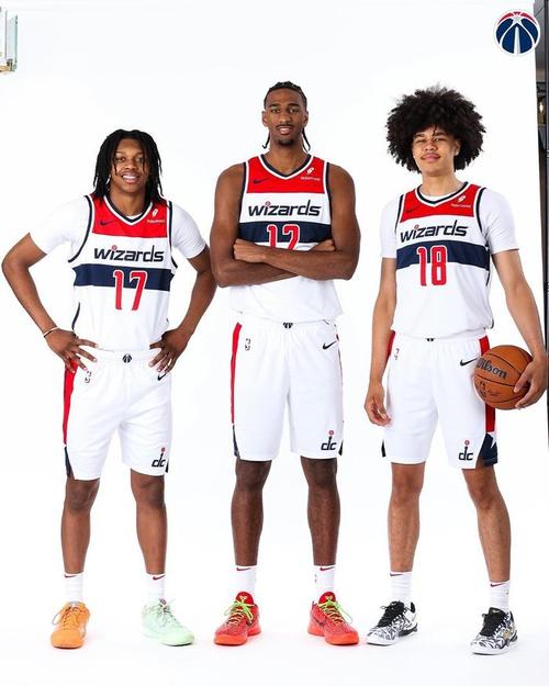 2008年奇才队阵容