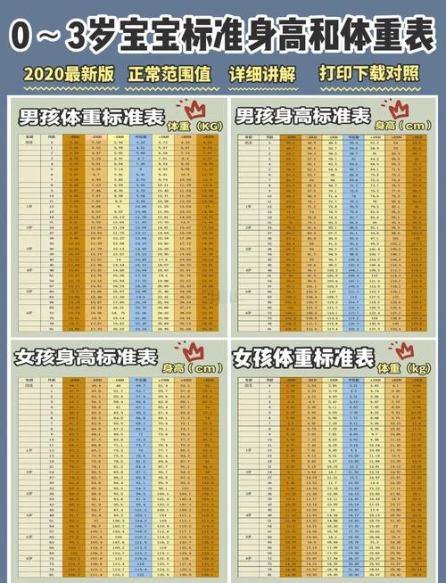 篮球宝贝身高要求标准