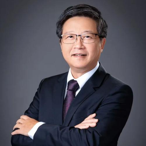 埃维集团董事长