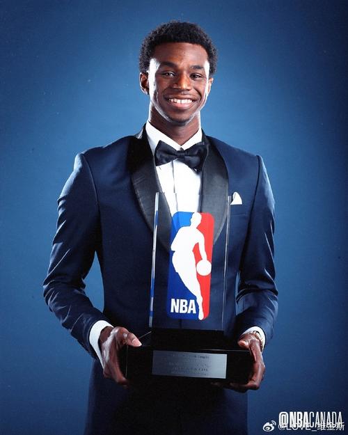 nba安德鲁威金斯现役年龄是多少岁