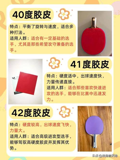 乒乓球胶皮排名及价格