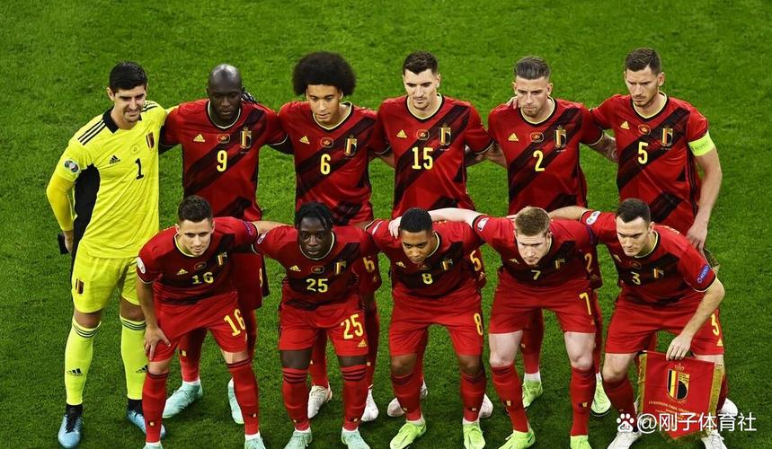 比利时国家队欧洲杯阵容