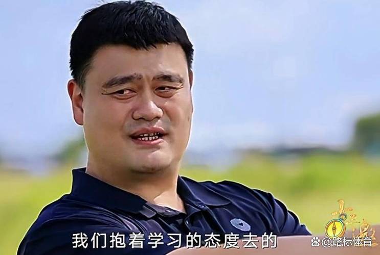 喜欢姚明的理由五十字