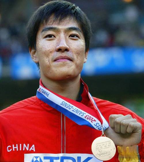 奥运冠军文章刘翔是谁