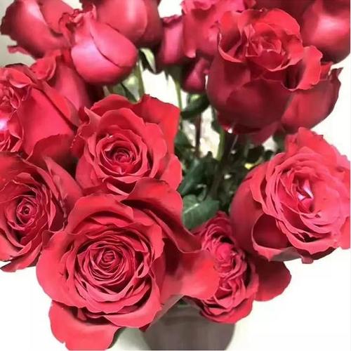 罗德斯和黑魔术