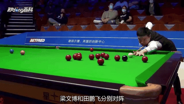 2021年世锦赛台球